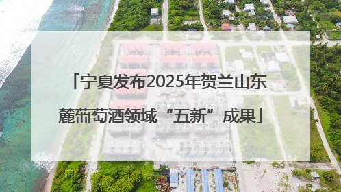 宁夏发布2025年贺兰山东麓葡萄酒领域“五新”成果