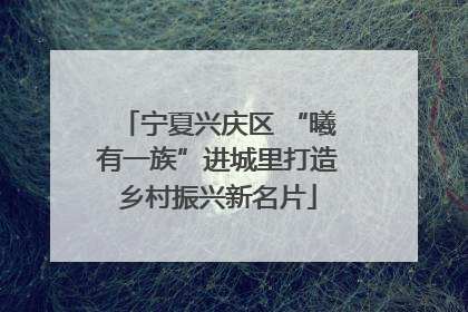 宁夏兴庆区 “曦有一族”进城里打造乡村振兴新名片
