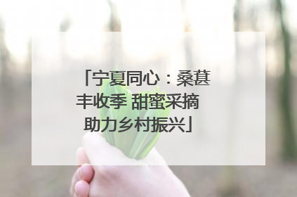 宁夏同心：桑葚丰收季 甜蜜采摘助力乡村振兴