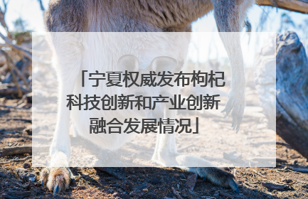 宁夏权威发布枸杞科技创新和产业创新融合发展情况
