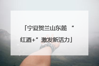 宁夏贺兰山东麓 “红酒+”激发新活力