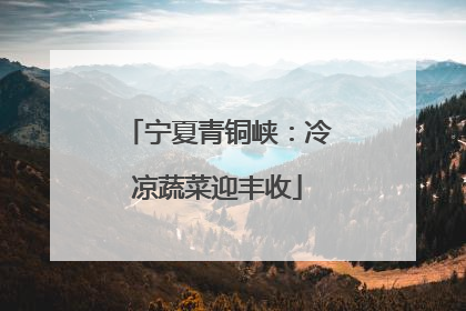 宁夏青铜峡：冷凉蔬菜迎丰收