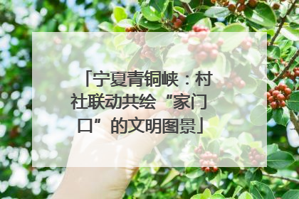 宁夏青铜峡：村社联动共绘“家门口”的文明图景