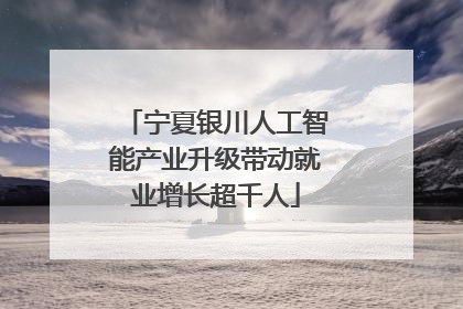 宁夏银川人工智能产业升级带动就业增长超千人