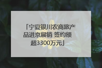 宁夏银川农商旅产品进京展销 签约额超3300万元