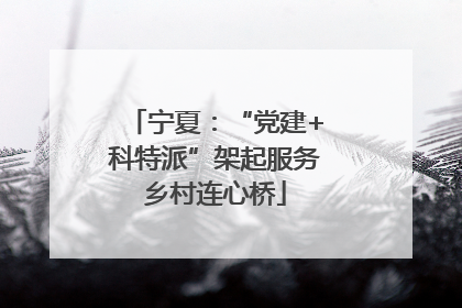 宁夏：“党建+科特派”架起服务乡村连心桥