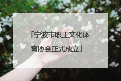 宁波市职工文化体育协会正式成立