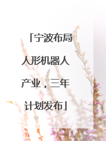 宁波布局人形机器人产业，三年计划发布