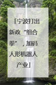 宁波打出新政“组合拳”，加码人形机器人产业