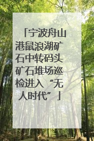 宁波舟山港鼠浪湖矿石中转码头矿石堆场巡检进入“无人时代”