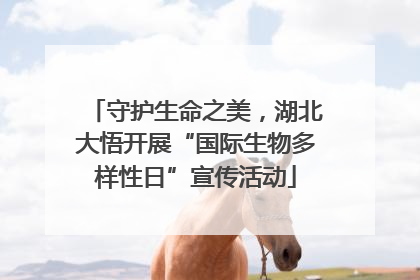 守护生命之美，湖北大悟开展“国际生物多样性日”宣传活动