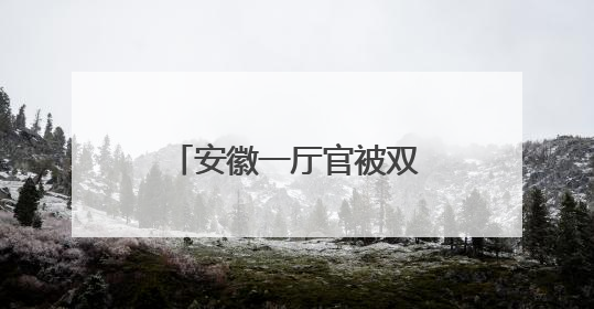 安徽一厅官被双开，涉违规编印个人文集等问题