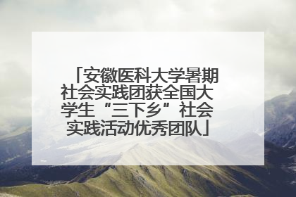 安徽医科大学暑期社会实践团获全国大学生“三下乡”社会实践活动优秀团队