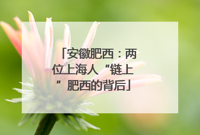 安徽肥西：两位上海人“链上”肥西的背后