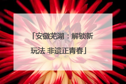 安徽芜湖：解锁新玩法 非遗正青春