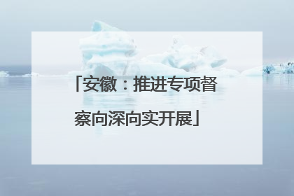 安徽：推进专项督察向深向实开展