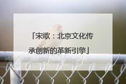 宋歌：北京文化传承创新的革新引擎