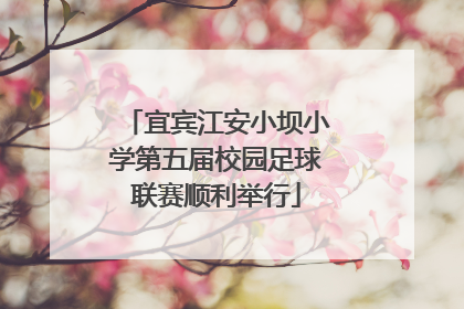 宜宾江安小坝小学第五届校园足球联赛顺利举行