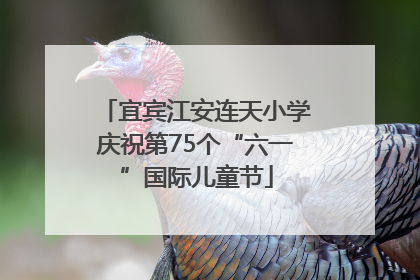 宜宾江安连天小学庆祝第75个“六一”国际儿童节