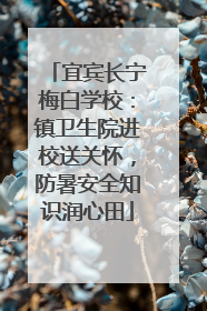 宜宾长宁梅白学校：镇卫生院进校送关怀，防暑安全知识润心田