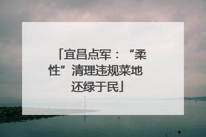宜昌点军：“柔性”清理违规菜地 还绿于民