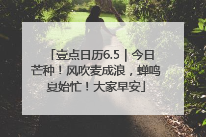 壹点日历6.5｜今日芒种！风吹麦成浪，蝉鸣夏始忙！大家早安