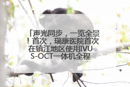 声光同步，一览全景！首次，瑞康医院首次在镇江地区使用IVUS-OCT一体机全程指导冠脉介入手术