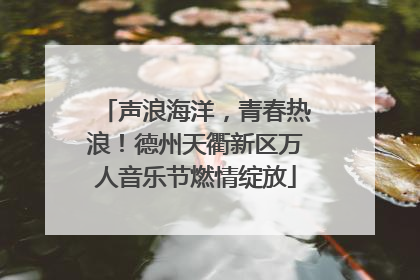 声浪海洋，青春热浪！德州天衢新区万人音乐节燃情绽放