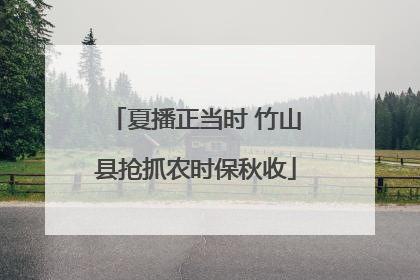 夏播正当时 竹山县抢抓农时保秋收