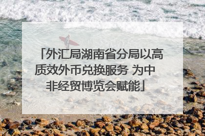 外汇局湖南省分局以高质效外币兑换服务 为中非经贸博览会赋能