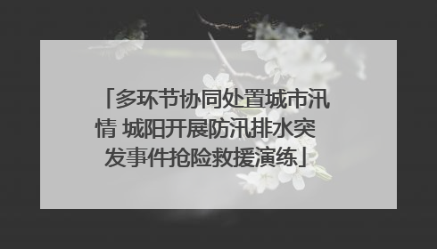 多环节协同处置城市汛情 城阳开展防汛排水突发事件抢险救援演练