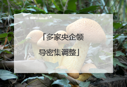 多家央企领导密集调整