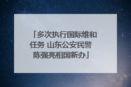 多次执行国际维和任务 山东公安民警陈强亮相国新办