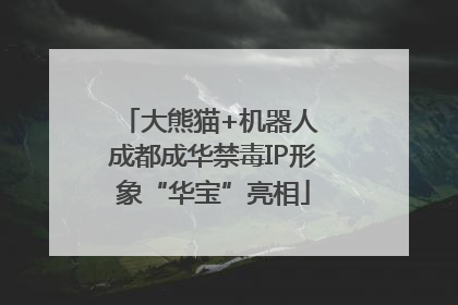 大熊猫+机器人 成都成华禁毒IP形象“华宝”亮相