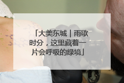 大美东城｜雨歇时分，这里藏着一片会呼吸的绿境