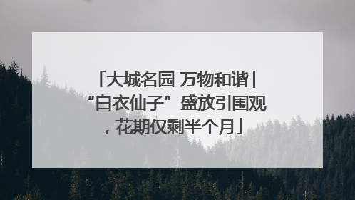 大城名园 万物和谐│“白衣仙子”盛放引围观，花期仅剩半个月