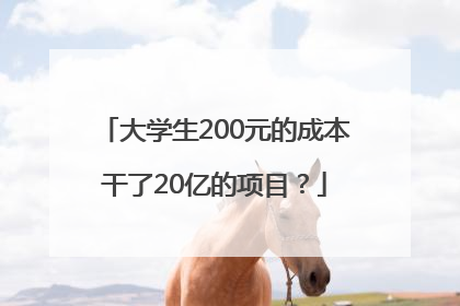 大学生200元的成本干了20亿的项目？