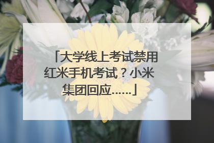 大学线上考试禁用红米手机考试？小米集团回应……