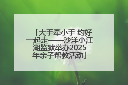 大手牵小手 约好一起走——沙洋小江湖监狱举办2025年亲子帮教活动