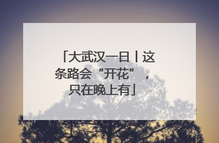 大武汉一日丨这条路会“开花”，只在晚上有