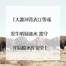 大渡河青衣江等或发生明显涨水 需守牢病险水库安全
