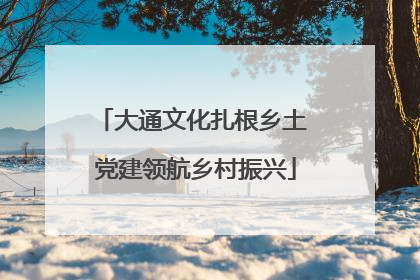 大通文化扎根乡土 党建领航乡村振兴