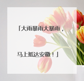大雨暴雨大暴雨，马上抵达安徽！