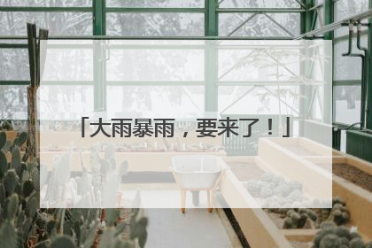大雨暴雨，要来了！