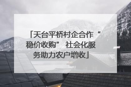 天台平桥村企合作“稳价收购” 社会化服务助力农户增收