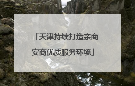 天津持续打造亲商安商优质服务环境