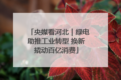 央媒看河北｜绿电助推工业转型 换新撬动百亿消费