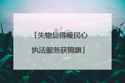 失物复得暖民心 执法服务获锦旗