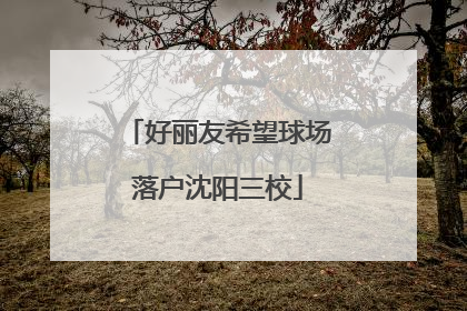 好丽友希望球场落户沈阳三校