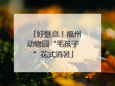 好惬意！福州动物园“毛孩子”花式消暑